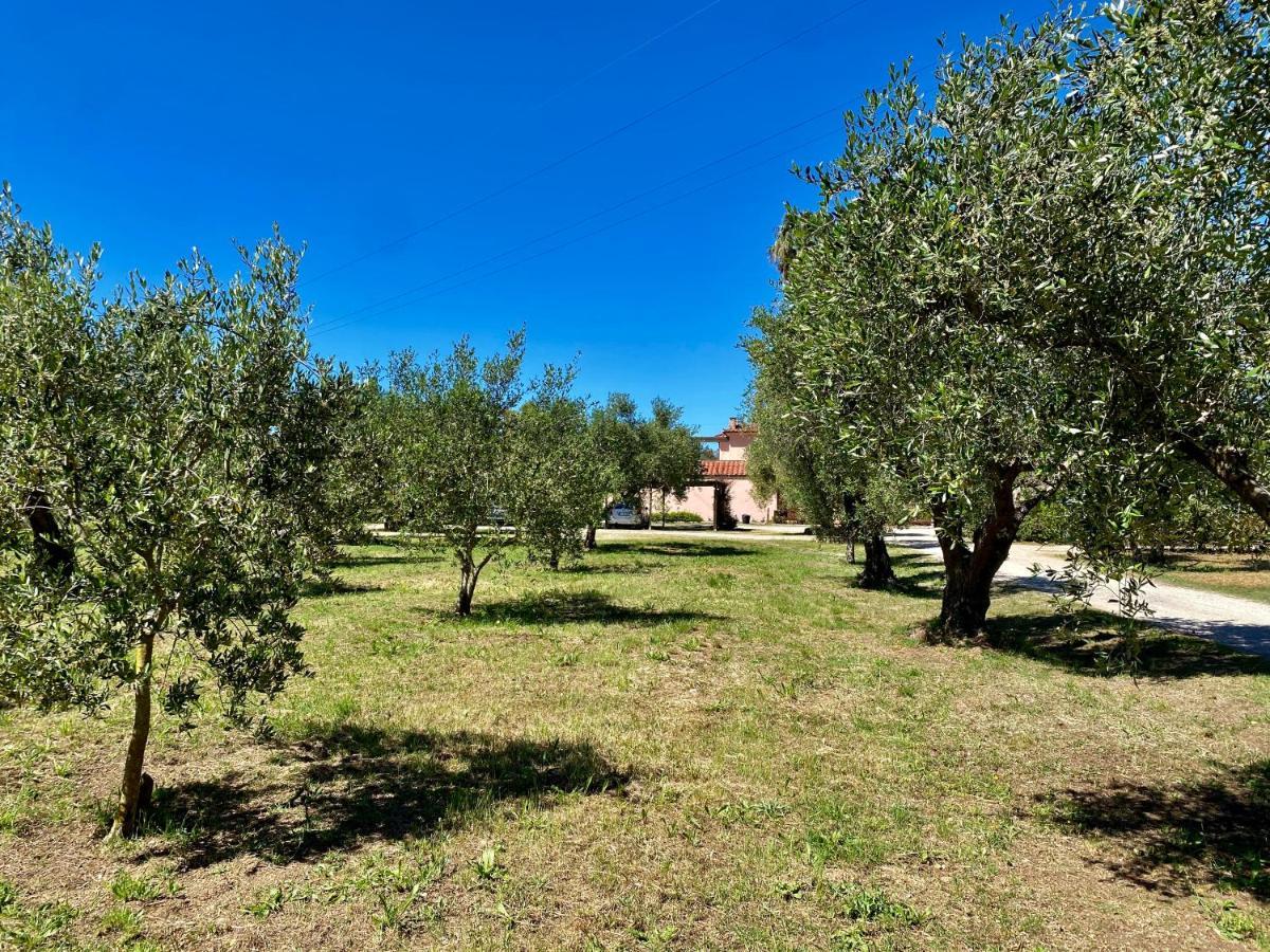 Residence Terme Isola D'Elba Srl Портоферрайо Экстерьер фото